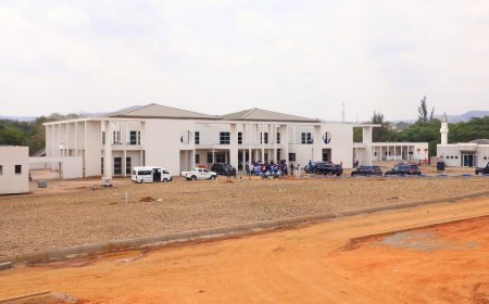 Vp's Residence: Wike Satisfied With The Speed,quality Of Work