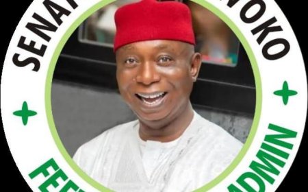 WHY DELTA YOUTHS MUST RALLY BEHIND SENATOR NED NWOKO