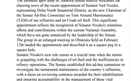 NDOKWA PROGRESSIVE YOUTH ASSEMBLY LAUDS THE APPOINTMENT OF SEN NED NWOKO AS SENATE AD HOC COMMITTEE CHAIRMAN ON TURN AROUND MAINTENANCE OF REFINERIES AND CRUDE OIL THEFT