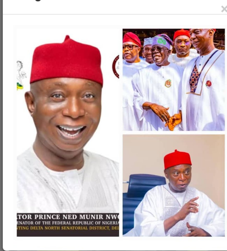 "SENATOR NED MUNIR NWOKO SPEAKS TO THE HEART OF ANIOMA: A VISION FOR PROGRESS, UNITY, AND DEVELOPMENT"
