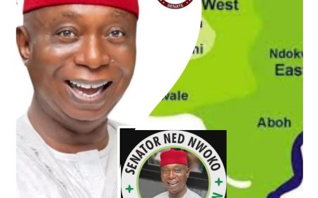 SENATOR NED NWOKO AND HIS UNWAVERING COMMITMENT TO NDOKWA NATION