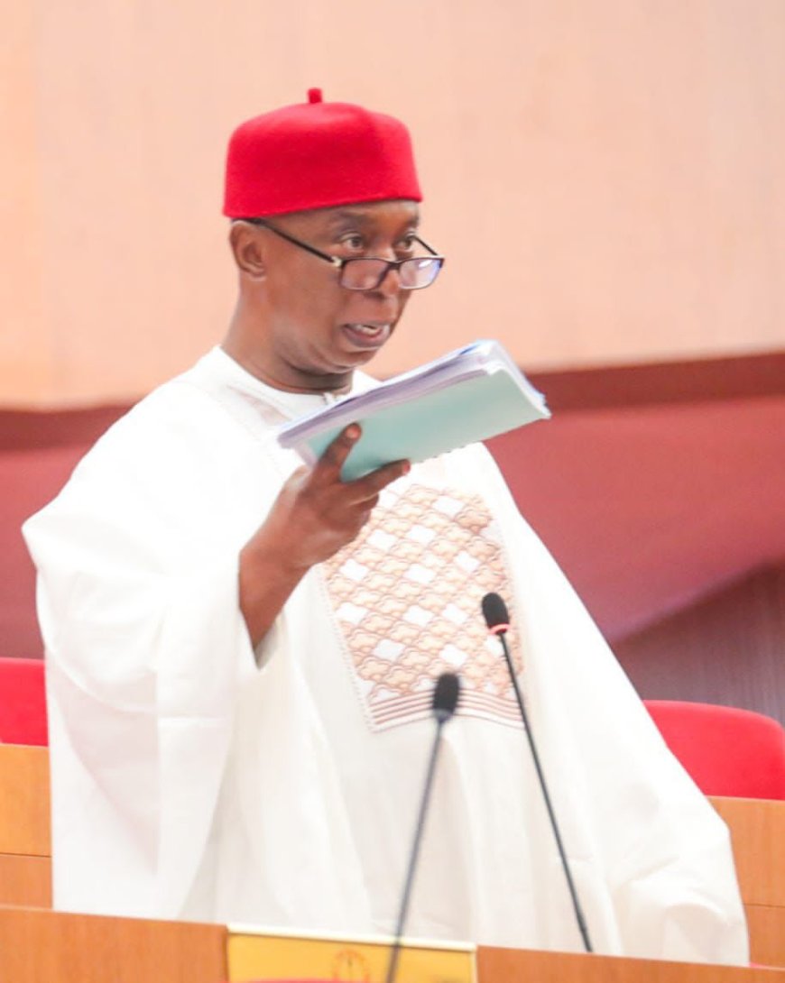 EXCLUSIVE INTERVIEW BY SENATOR PRINCE NED NWOKO ON THE SENATE VS. SENATOR NATASHA MATTER