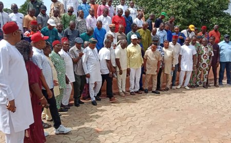 2027: DELTA NORTH APC WARD CHAIRMEN PASS VOTE OF CONFIDENCE ON SENATOR NED NWOKO