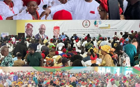 2027: DELTA NORTH APC PASSES VOTE OF CONFIDENCE IN TINUBU, OBOREVWORI, NWOKO.