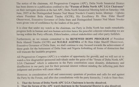 BREAKING: DELTA NORTH APC CHAIRMAN DISSOLVES FORUM OF LGA CHAIRMEN, REAFFIRMS ENDORSEMENT OF SENATOR NED NWOKO