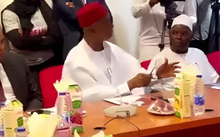 SENATE BEGINS NATIONWIDE PUBLIC HEARING ON CONSTITUTION.