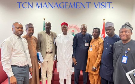 DELTA STATE GOVERNMENT GENERATE REVENUE FROM THE PHASE 1 OKPAI IPP PROJECT