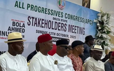 2027: DELTA NORTH  IS FOR OBOREVWORI-  SEN.NED NWOKO.