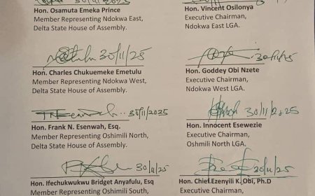 A CALL FOR IMMEDIATE SUSPENSION OF ALL THE MEMBERS OF DTHA AND LOCAL GOVERNMENT CHAIRMEN FROM DELTA NORTH SENATORIAL DISTRICT FOR ANTI - PARTY ACTIVITIES