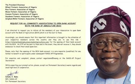 FROM SEASONAL HANDOUTS TO SUSTAINABLE SUPPORT: WHY NIGERIAN FARMERS MUST NOT MISS THE NAGS-AP OPPORTUNITY