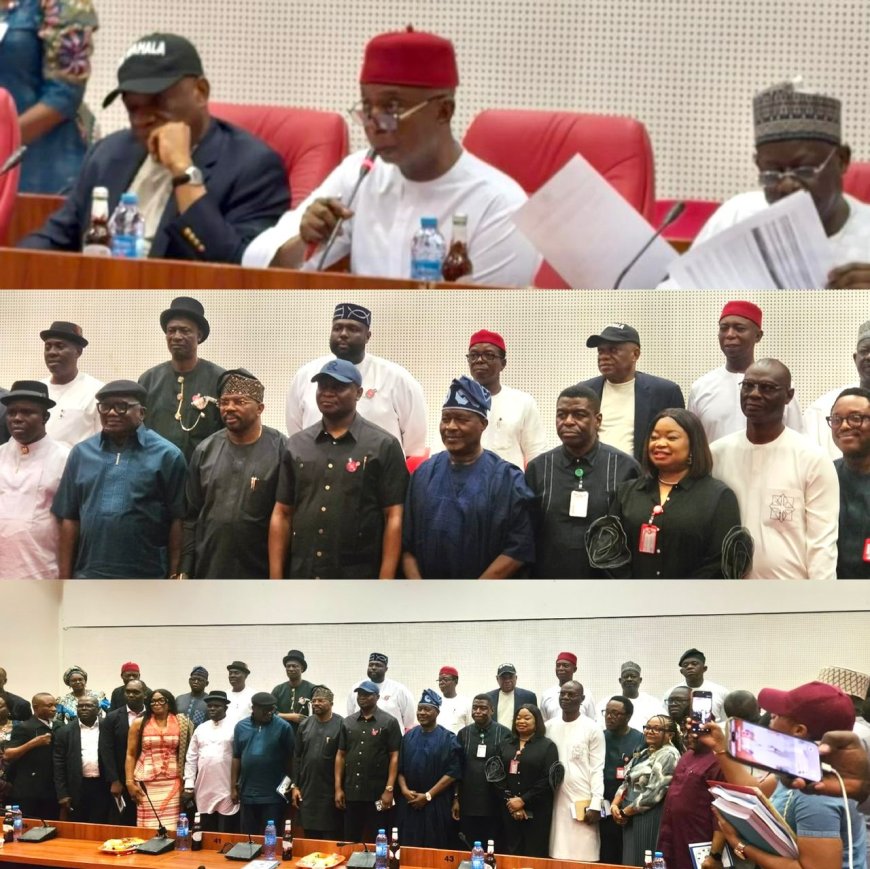 NDDC 2025 BUDGET DEFENCE: SENATOR NED NWOKO HONOURS LATE NWAOBOSHI, RAISES PENDING DELTA COASTAL ROAD