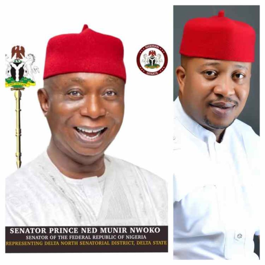 WHO REALLY HELD THE LINE? REVISITING SENATOR NED NWOKO’S ROLE IN PDP’S ELECTORAL FORTUNES IN DELTA STATE